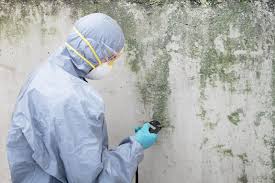 Best Post-Construction Mold Inspection  in USA